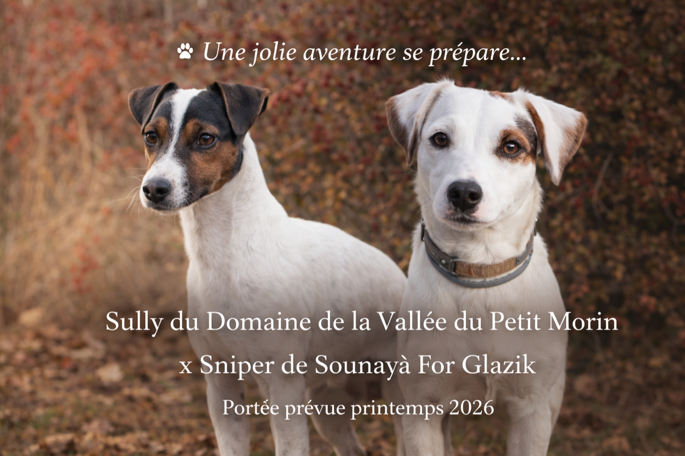 Une jolie aventure se prépare ... pour fin mai